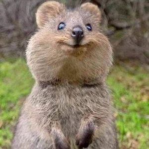 Meet your Posher, Linda